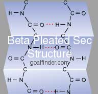 Beta Plated secondary structure