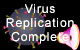 virus replication complete