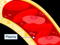 Plasma and RBC