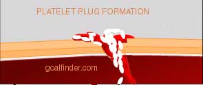 platelet plug formation