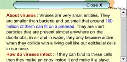 A special section in the map gives information on influenza viruses, types, sub types, pathogenicity of these viruses, the method by which they ifect humans etc.
