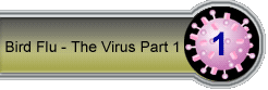 bird flu - the virus part 1