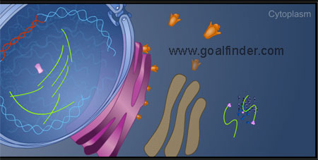 synthesis HIV