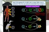 There are combinations for which antibodies are present