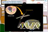 Dr. Jones explain about the RNA/DNA part of the virus