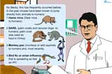 Virus has previous jumped to human beings from animals before also