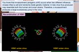 Dr Jones explains how H5N1 has been mutating by using recombination