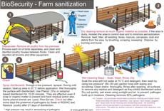 Poster-Bio-security-sanitization