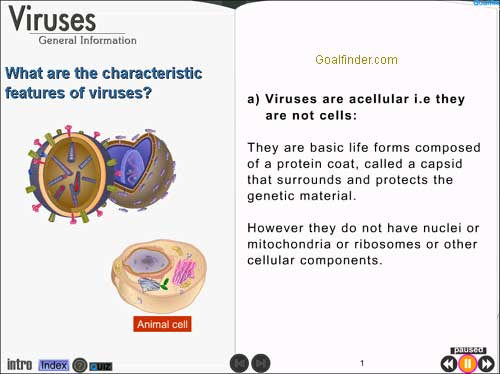 Characteristics about Viruses