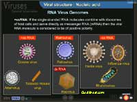 RNA virus genome