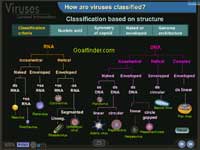 Classification of virus
