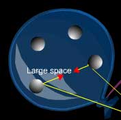 Gases have large space between molecules