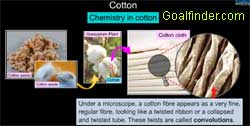 Chemistry of cotton fibre